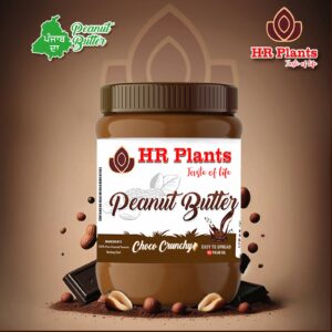 HR Plants Peanut Butter Choco Crunchy - Indulgent Nut Spread with Rich Chocolate Flavor - Ideal for Snacks and Desserts